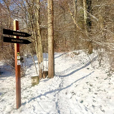 Stilvolles In Feriehus Gerolstein
